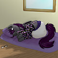 Pony butts