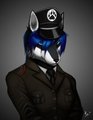 Raven Fox Frostpaw