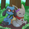 Riolu and Eevee