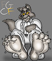 Mr Wolfs Tootsies