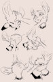 230609 Pets Practice