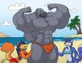 Show Off by Ziude