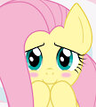Fluttershy Dakimakura SFW