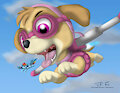 Sky(e) Patrol