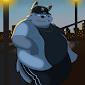 A Wonderful Evening by FurWolfy