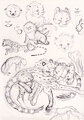 cheetah-sketchbook