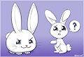 Angel Bunny learns of his people's future