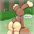 Buneary Photography