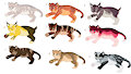 Big cat adopts by AmayaKaoru