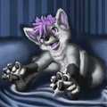 Kalypso Puppy