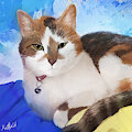 Lily Painting by Kaittycat