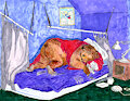 Hibernation