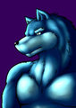 [Collab]Blue Wolf by ShinodaKuma