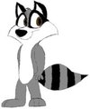 Raccoon
