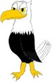 Bald Eagle by FoxyKitsuneFox
