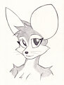 Fennec Face