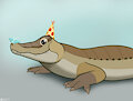Birthday Croc