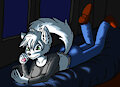 Night Time Entertainment (Zeex)