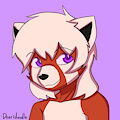 Face Pic (Deeridoodle)