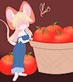 apple picking