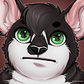[C] Avatar meme by VolodyaNocturne