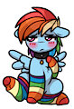 collard filly dash.