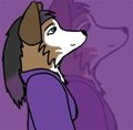 Random Husky Girl by bluesunelight