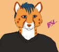 Random Gift for AcerPaws  by bluesunelight