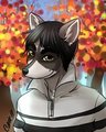 Old fursona by raekin