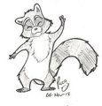 dancing raccoon