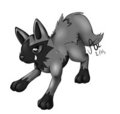 Poochyena