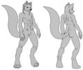 Male Anthro Base V2 Clean by MrFatB