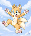 Wild Tails by Coille