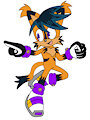 Isaac "Circuit" Prower the Holo-Fox: NICOLAS REMAKE