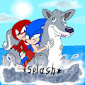 Sonic and Knuckles make a splash down