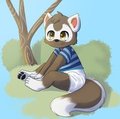 Jett Coon daytime by JettCoon