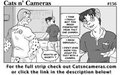 Cats n Cameras Strip 156 - What's up Shorty