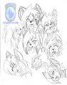 Selphia faces