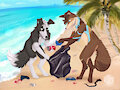 Beach clean up by LuckFoxo33