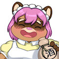 maxicoon icon