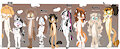 *ADOPTABLES*_Spotless