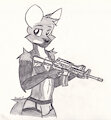 AR Carbine