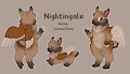 Nightingale Reference Sheet