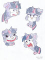 The Many Faces of Twilight Barkle