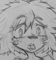 Fluffy doggo