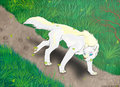 Akira - Contest by WingedFoxX