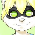 $CuriousFerret 02