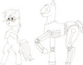Personies - Rainbow Dash and Take-Mikazuchi