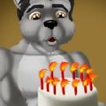 Karoo's Birfday