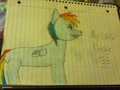 My little dashie